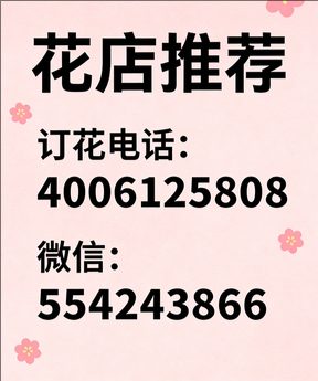 宁德蕉城区花店哪家好