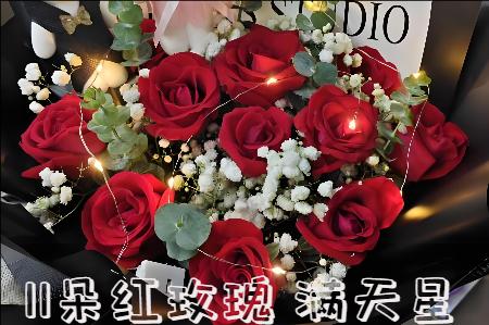宁德蕉城区哪里有花店