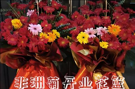 宁德蕉城区开业花篮